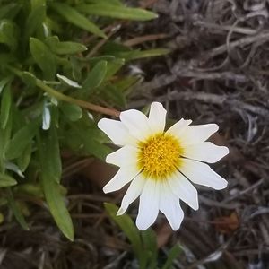 Meet your Posher, Yuzhou